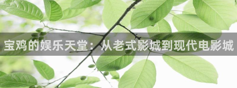 太阳成集团tyc9728